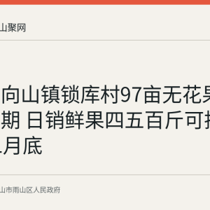 雨山区向山镇锁库村97亩无花果进入盛果期 日销鲜果四五百斤可持续采至11月底