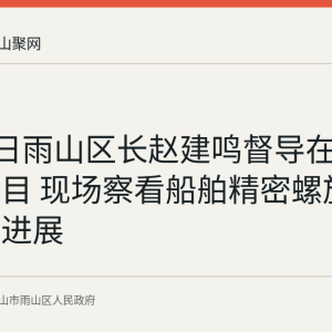 8月27日雨山区长赵建鸣督导在建重点项目 现场察看船舶精密螺旋桨等项目进展