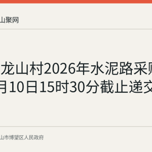 丹阳镇龙山村2026年水泥路采购公告：9月10日15时30分截止递交响应文件