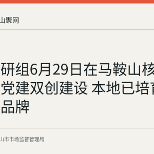 省级调研组6月29日在马鞍山核实小个专党建双创建设 本地已培育8个党建品牌