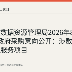 雨山区数据资源管理局2026年8月至9月政府采购意向公开：涉数据产品开发服务项目
