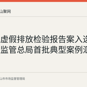 马鞍山虚假排放检验报告案入选国家市场监管总局首批典型案例汇编