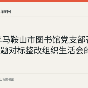 2022年马鞍山市图书馆党支部召开查摆问题对标整改组织生活会的记录