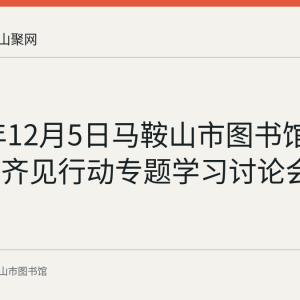 2016年12月5日马鞍山市图书馆召开讲看齐见行动专题学习讨论会