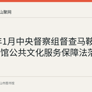 2018年1月中央督察组督查马鞍山市图书馆公共文化服务保障法落实工作