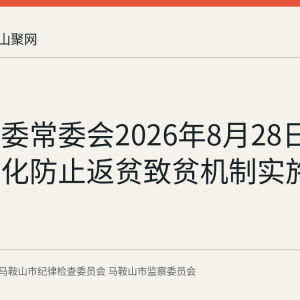 安徽省委常委会2026年8月28日审议常态化防止返贫致贫机制实施意见