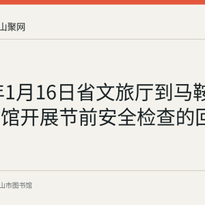 2023年1月16日省文旅厅到马鞍山市图书馆开展节前安全检查的回顾