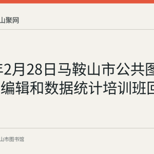 2023年2月28日马鞍山市公共图书馆年报编辑和数据统计培训班回顾
