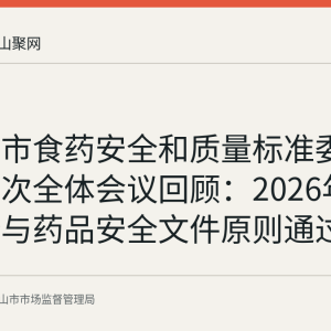 马鞍山市食药安全和质量标准委员会第二次全体会议回顾：2026年食品安全与药品安全文件原则通过