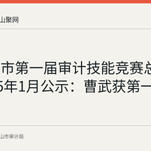 马鞍山市第一届审计技能竞赛总成绩2025年1月公示：曹武获第一名