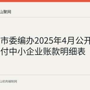 马鞍山市委编办2025年4月公开逾期未支付中小企业账款明细表