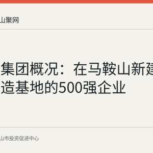 奥克斯集团概况：在马鞍山新建第八大制造基地的500强企业