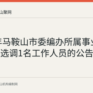 2025年马鞍山市委编办所属事业单位公开选调1名工作人员的公告要点回顾