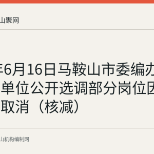 2025年6月16日马鞍山市委编办所属事业单位公开选调部分岗位因报名不足取消（核减）