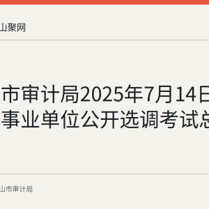 马鞍山市审计局2025年7月14日公告所属事业单位公开选调考试总成绩