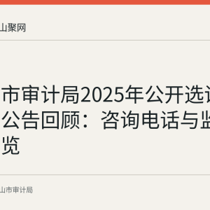 马鞍山市审计局2025年公开选调体检结果公告回顾：咨询电话与监督渠道一览