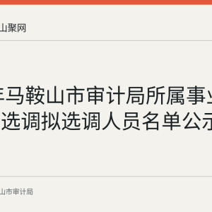 2025年马鞍山市审计局所属事业单位公开选调拟选调人员名单公示情况回顾