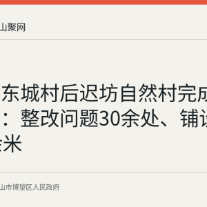 博望镇东城村后迟坊自然村完成环境整治：整改问题30余处、铺设步道40余米