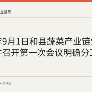 2026年9月1日和县蔬菜产业链党委成立 并召开第一次会议明确分工机制