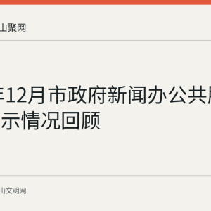 2025年12月市政府新闻办公共服务清单公示情况回顾