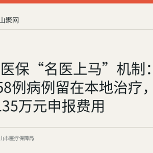 马鞍山医保“名医上马”机制：2025年558例病例留在本地治疗，涉及约1135万元申报费用