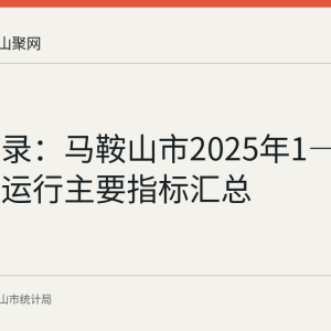 数据记录：马鞍山市2025年1—11月经济运行主要指标汇总