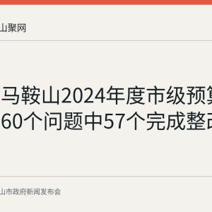 回顾：马鞍山2024年度市级预算执行审计60个问题中57个完成整改