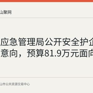 博望区应急管理局公开安全护企服务采购意向，预算81.9万元面向中小企业