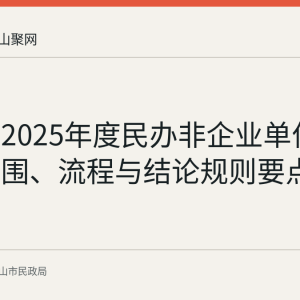 马鞍山2025年度民办非企业单位年检：范围、流程与结论规则要点回顾