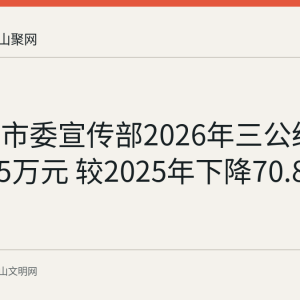 马鞍山市委宣传部2026年三公经费预算3.5万元 较2025年下降70.83%