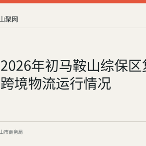 回顾：2026年初马鞍山综保区复工生产与跨境物流运行情况
