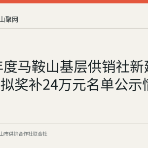 2025年度马鞍山基层供销社新建改造资金拟奖补24万元名单公示情况