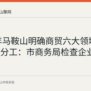 2026年马鞍山明确商贸六大领域安全监管分工：市商务局检查企业72家次