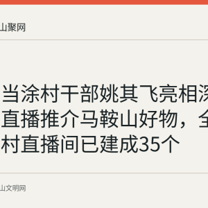 回顾：当涂村干部姚其飞亮相深圳文博会直播推介马鞍山好物，全市和美乡村直播间已建成35个