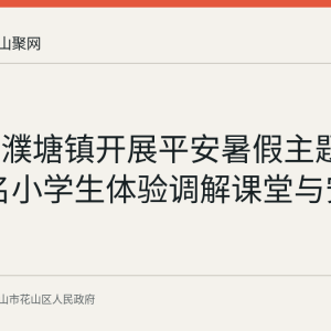 花山区濮塘镇开展平安暑假主题活动 20名小学生体验调解课堂与安全宣讲