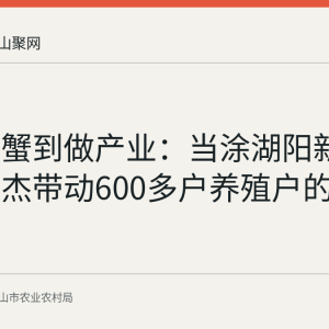从卖螃蟹到做产业：当涂湖阳新农人徐文杰带动600多户养殖户的创业路