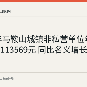 2025年马鞍山城镇非私营单位年平均工资113569元 同比名义增长3.7%