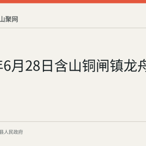 2026年6月28日含山铜闸镇龙舟预选赛