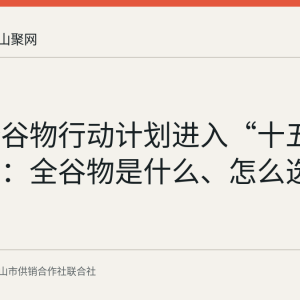 国家全谷物行动计划进入“十五五”规划：全谷物是什么、怎么选