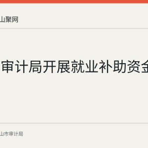 花山区审计局开展就业补助资金专项审计