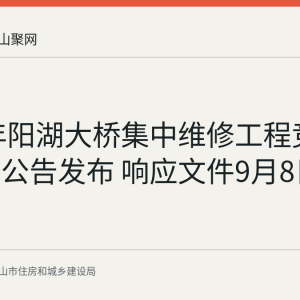 2026年阳湖大桥集中维修工程竞争性谈判公告发布 响应文件9月8日10时截止