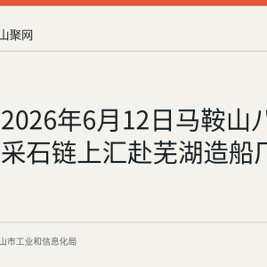 回顾：2026年6月12日马鞍山八家企业随采石链上汇赴芜湖造船厂对接供需