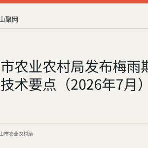 马鞍山市农业农村局发布梅雨期水稻田管技术要点（2026年7月）