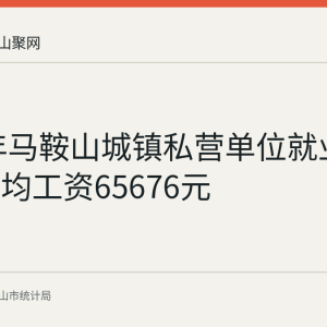 2025年马鞍山城镇私营单位就业人员年平均工资65676元