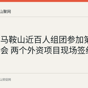 回顾：马鞍山近百人组团参加第四届链博会 两个外资项目现场签约