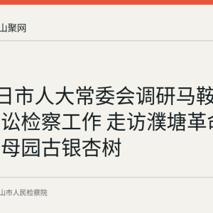 6月23日市人大常委会调研马鞍山公益诉讼检察工作 走访濮塘革命遗址与白母园古银杏树