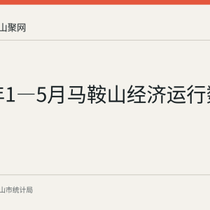 2026年1—5月马鞍山经济运行数据