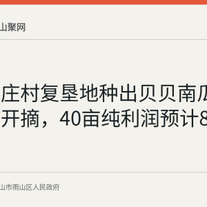 雨山前庄村复垦地种出贝贝南瓜：第二季开摘，40亩纯利润预计8万元
