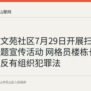花山区文苑社区7月29日开展扫黑除恶主题宣传活动 网格员楼栋长入户普及反有组织犯罪法