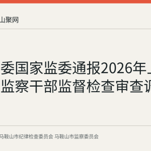 中央纪委国家监委通报2026年上半年纪检监察干部监督检查审查调查数据
